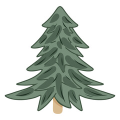 Fototapeta premium Christmas Tree Illustration, Spruce Tree, Evergreen, Pine