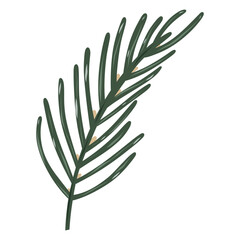 Spruce Twig Illustration, Pine Branch Sketch, Evergreen Twig Artwork