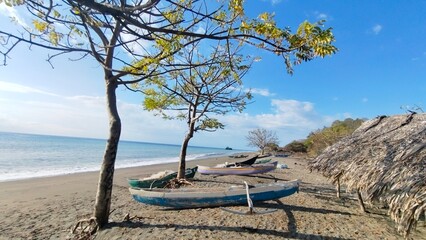 Tropical Beach Scene with Boats, Trees, and Blue Sky, Coastal Landscape