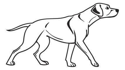 sketch of a dog