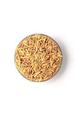 RICE GRAIN TOP VIEW ON BOWL. ISOLATED ON WHITE BACKGROUND.