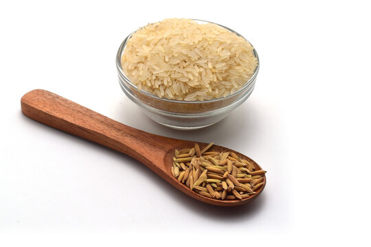 NEW FRESH RICE GRAIN ON ISOLATED WHITE BACKGROUND WITH SELECTIVE FOCUS.