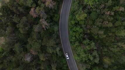 Aerial drone shot of a road cutting through dense forest with cars driving, showcasing transportation flow, rural mobility, scenic landscape, and sustainable travel infrastructure.
