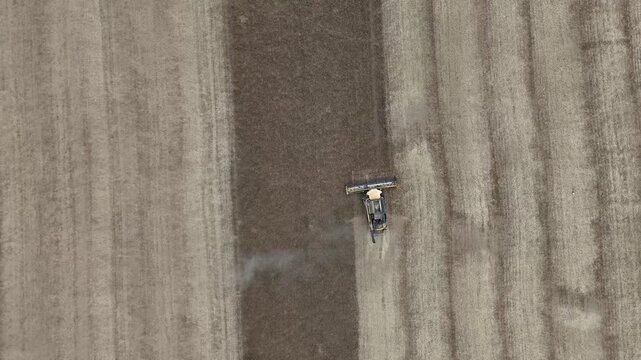 Aerial drone footage of a combine harvester cutting a golden wheat field, showcasing modern agriculture, grain harvest, rural landscape, and seasonal farming productivity.