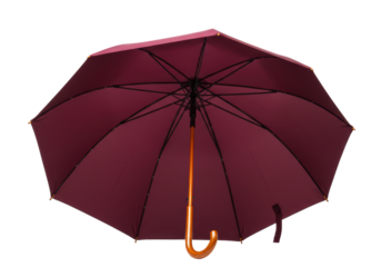 Isolated open burgundy umbrella, classic design, brown curved handle, protection from rain