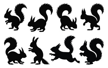 Set of squirrel silhouettes. isolated vector on white background.