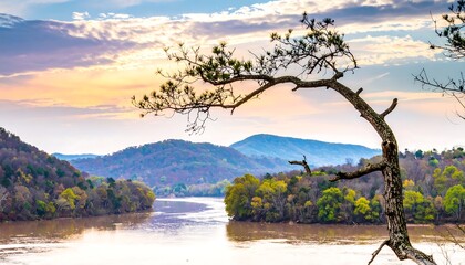 Obraz premium Serene River Valley Sunrise Landscape.