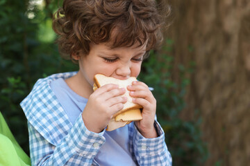 Cute little boy eating sandwich outdoors, space for text. School lunch