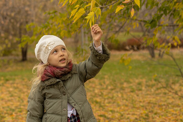 A young girl in a cozy coat and scarf reaches for a tree branch during autumn day in park. Fall exploration and discover, season change