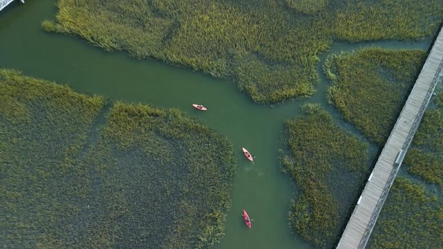 Aerial shot of 3 kayakers , kayaking in lowland marsh in charleston sc