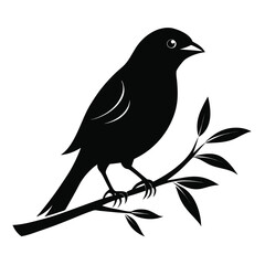 Black Silhouette of a Bird Perched on a Branch with Leaves