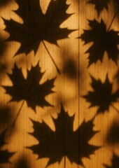 Obraz premium Autumn leaves shadow play