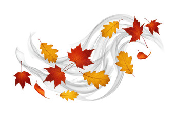 Isolated Fall leaves and wind swirling across a white surface in autumn season design