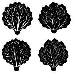 Fototapeta premium Four black and white stylized lettuce heads with detailed leaf veins arranged in a square format design
