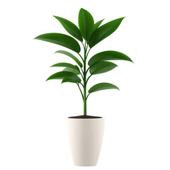 lush green houseplant in white pot isolated on transparen background (PNG)