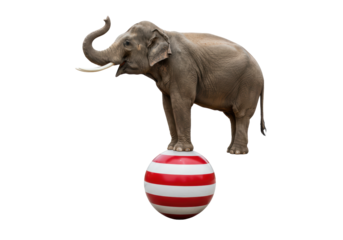 Isolated Circus Elephant on a Striped Ball a Whimsical Symbol of Performance and Fun