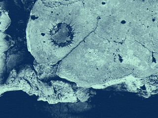 Textured Concrete Surface Close-up view of a weathered, cracked surface in blue monochrome