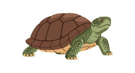 Naklejka premium A Detailed Illustration of a Green Tortoise with a Brown Shell