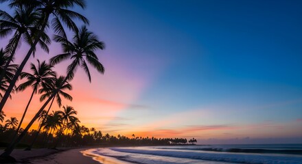 Sunset over the beach with ocean view and palm trees