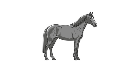 Gray Horse Standing Profile, Detailed Line Art Illustration