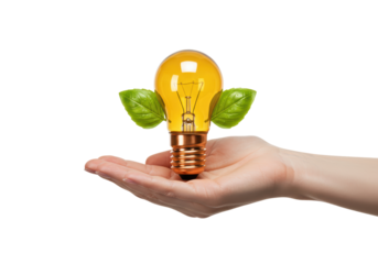 Isolated concept of light bulb in human hand with growing plants for ecology projects