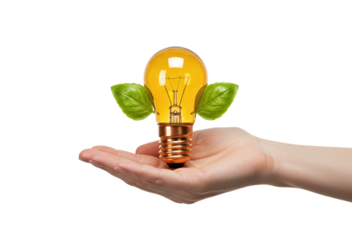 Isolated concept of light bulb in human hand with growing plants for ecology projects