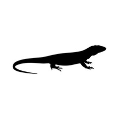 Argentine tegu silhouette vector flat illustration design.