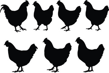 Chicken and hen silhouette vector illustration set, farm poultry design, black outline artwork for agriculture, farming, livestock, food and graphic design