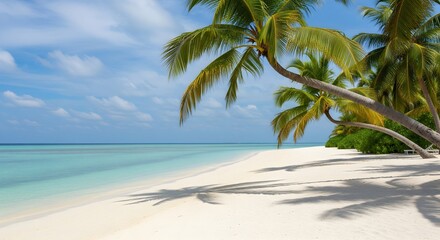 Obraz premium Tropical island paradise with palm trees on a white sand beach