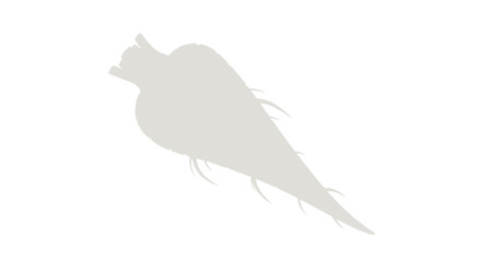 Light gray silhouette of a root vegetable with rootlets.
