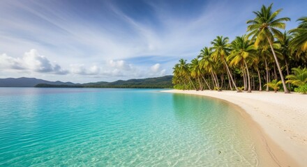 Fototapeta premium Serene Tropical Beach Paradise with Palm Trees.