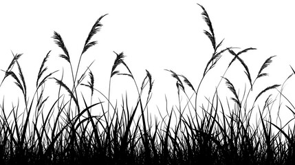 Realistic black grass silhouette isolated on transparent or white background. Ideal for seamless nature designs, landscape illustrations, borders, and decorative projects.