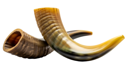 Shofar (horn) on Transparent Background