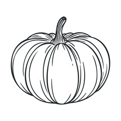 Simple sketch of a pumpkin for autumn celebration and home decor