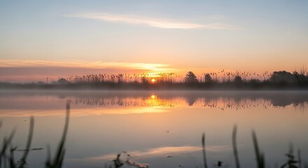 Sunrise over Calm Lake with Misty Trees.