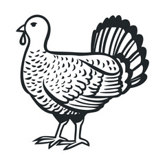 Artwork of a classic turkey design representing harvest traditions. Vector line illustration