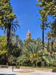 church roof in palm park in Italy
