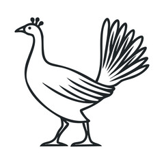 Peacock standing elegantly on a plain background. Vector line illustration