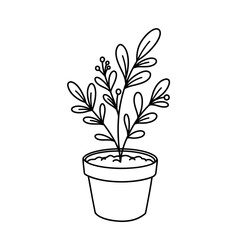 Simple line art potted plant with leaves and berries for decorative use isolated on white background