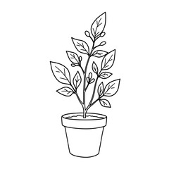 Hand drawn outline of a potted plant with leaves and berries ready for growth and decoration isolated on white background