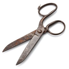 Rusty vintage shears