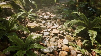 A stone pathway winding through a lush forest with ferns and dappled sunlight