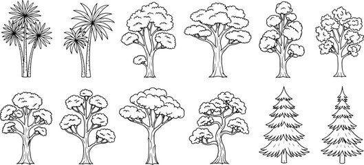 Collection of 12 hand drawn outline style trees perfect for botanical art and nature scenes sketch art