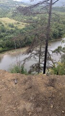 river in the forest