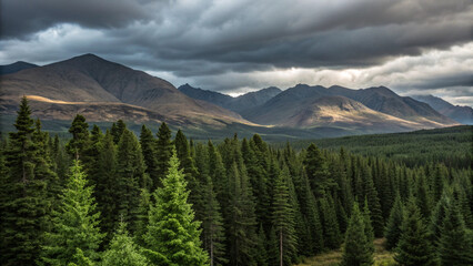 Obraz premium Dramatic mountain landscape under stormy skies over evergreen forest