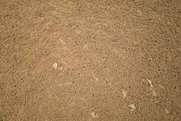 Abstract Detailed Ground Texture of Sand with Crab Holes Landscape