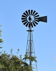 Old Windmill and Tree