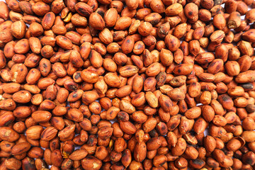 Close Up Detailed Texture Shot Pile of Shelled Bark Nut Seed