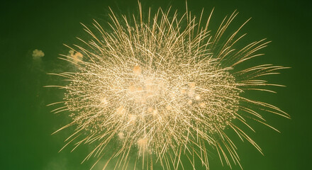 Fototapeta premium Stunning golden fireworks explode against vibrant green sky creating a magical festive atmosphere