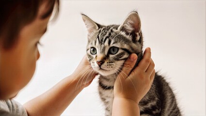 Toddler Gently Holding Blue Eyed Tabby Kitten Cheeks on Soft White Background Close Up Childhood Bond